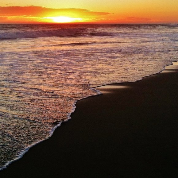 🌟Meet your Posh Ambassador, Diane - Picture 6 of 15